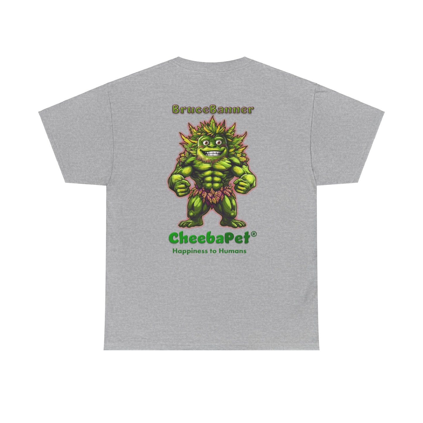 Express T BruceBanner