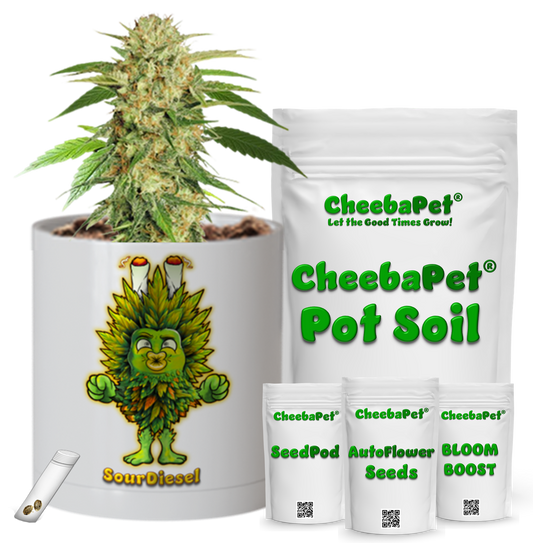 CheebaPet Planter Kit - SourDiesel
