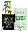 CheebaPet Planter Kit - SuperSkunk