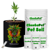 CheebaPet Planter Kit - WhiteWidow