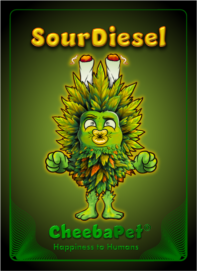 CheebaPet Planter Kit - SourDiesel