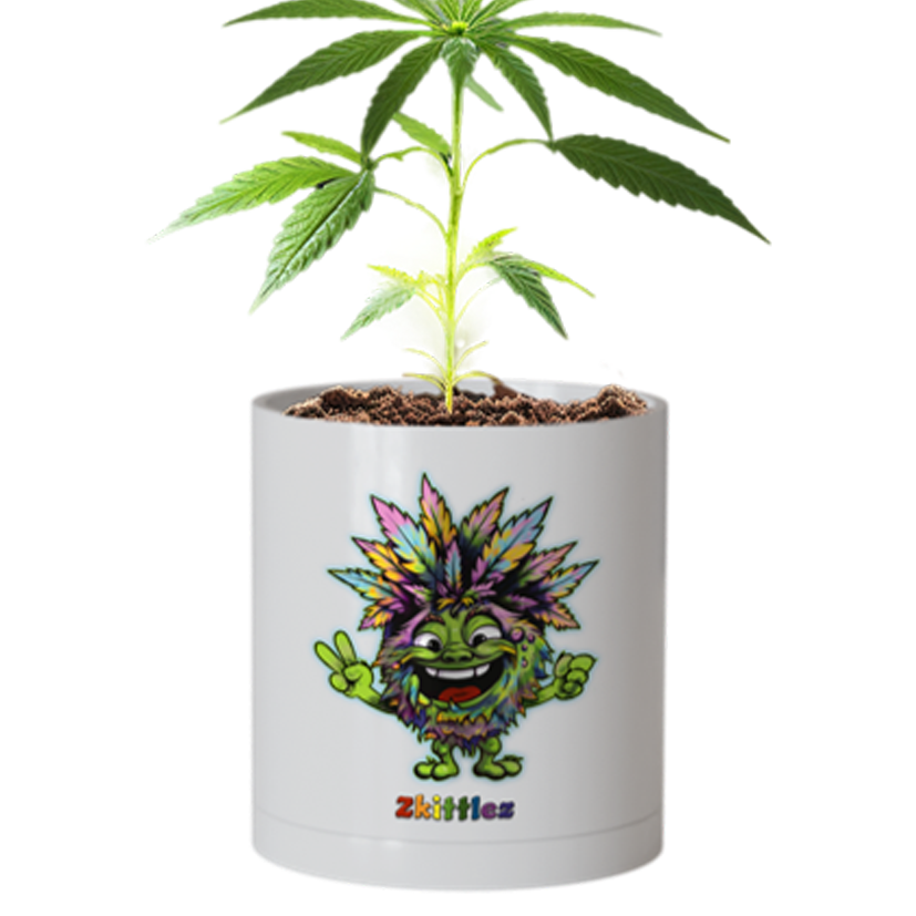 CheebaPet Planter Kit - Zkittlez